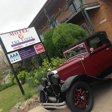 The Vines Motel & Cottages Stanthorpe Extérieur photo