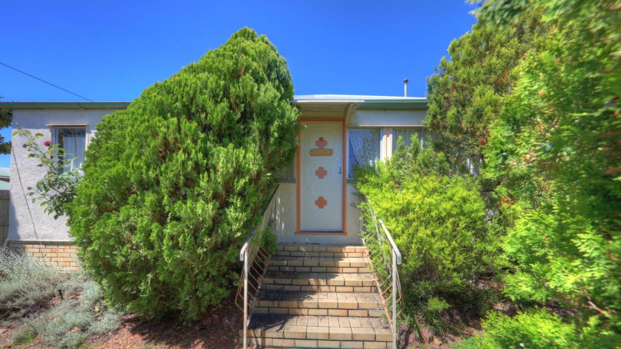 The Vines Motel & Cottages Stanthorpe Extérieur photo