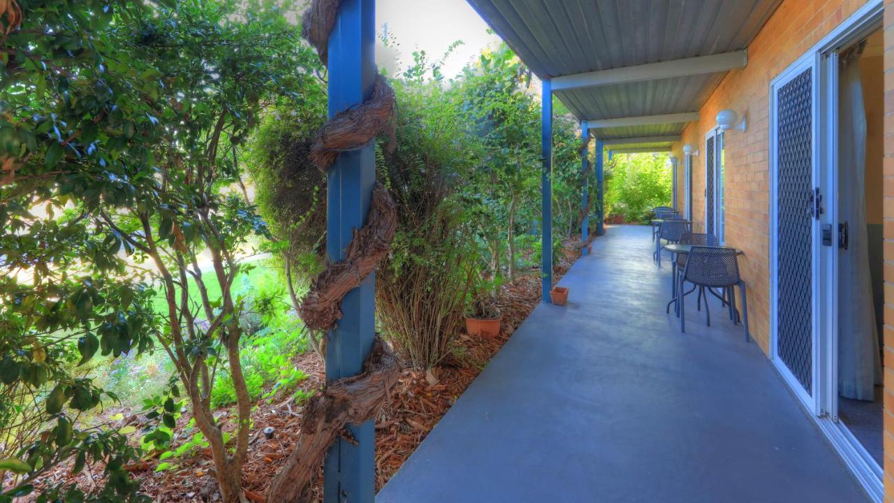 The Vines Motel & Cottages Stanthorpe Extérieur photo