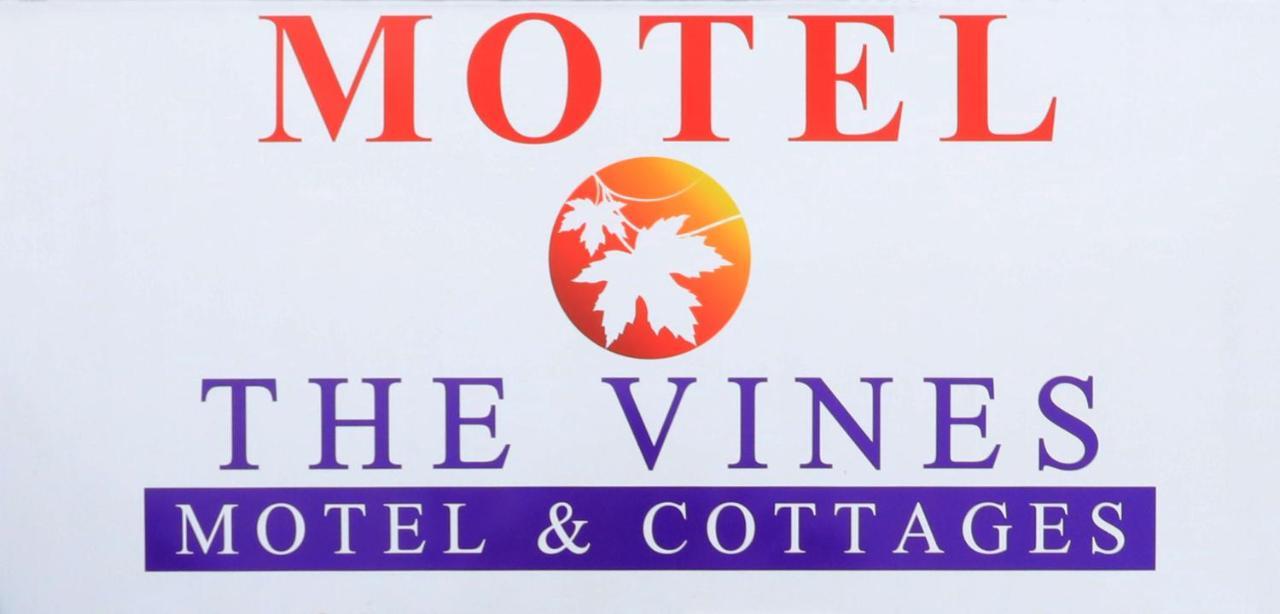 The Vines Motel & Cottages Stanthorpe Extérieur photo