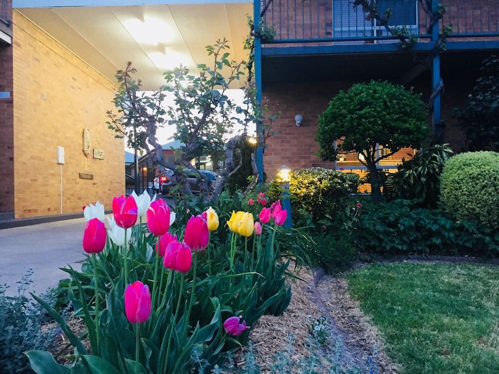 The Vines Motel & Cottages Stanthorpe Extérieur photo